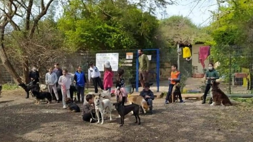 קייטנת "ילדים, כלבים ונהנים"