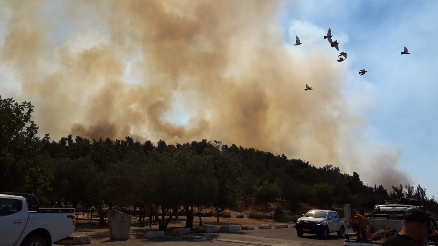 השריפה בהרי ירושלים