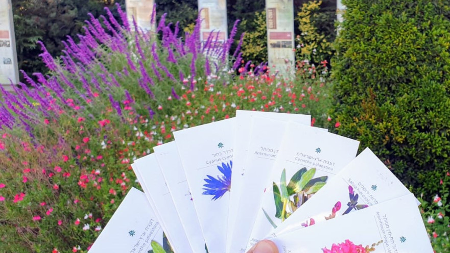 שקיות זרעים לקנייה