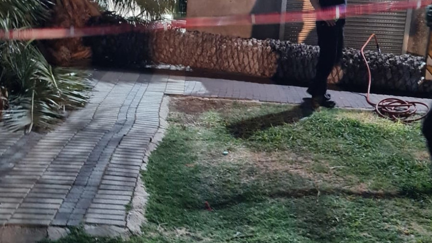 זירת קריסת העץ בטבריה