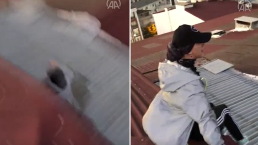 התרסקה 50 מטרים אל מותה