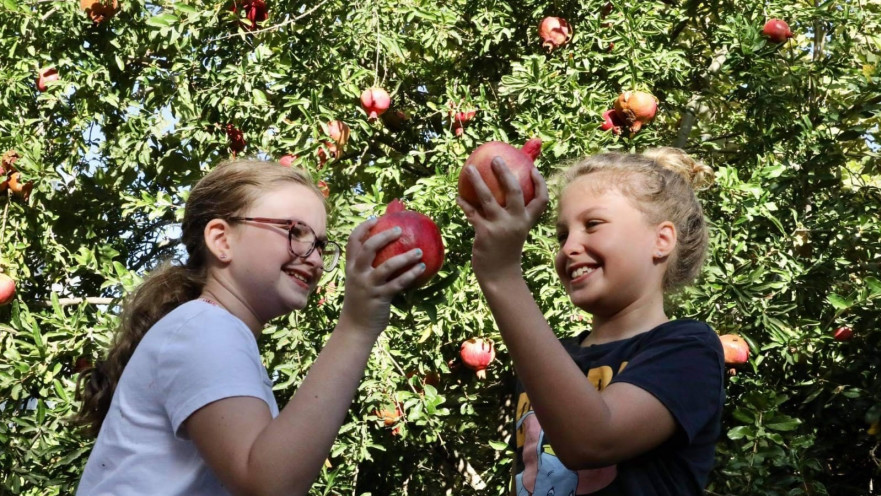 ילדות מתכוננות לראש השנה