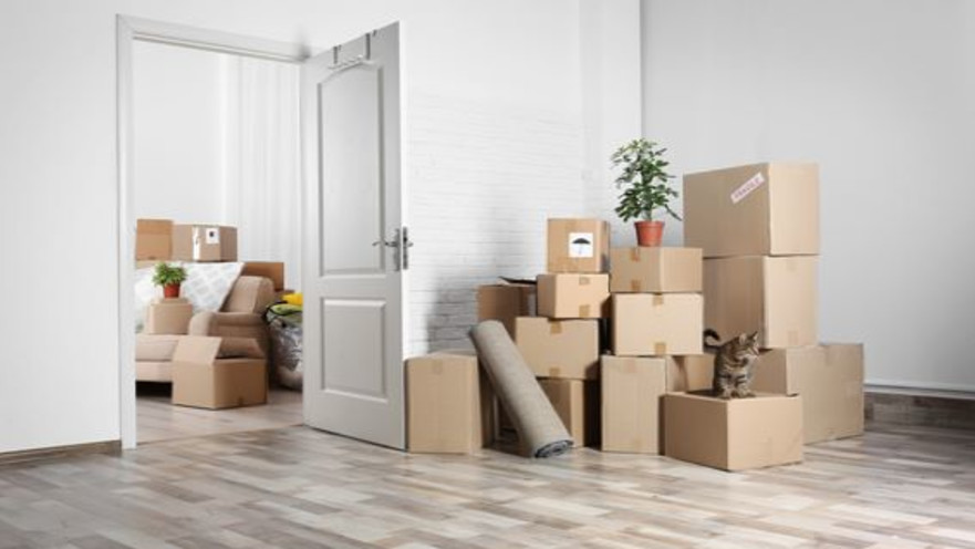 פינוי דירה שכורה