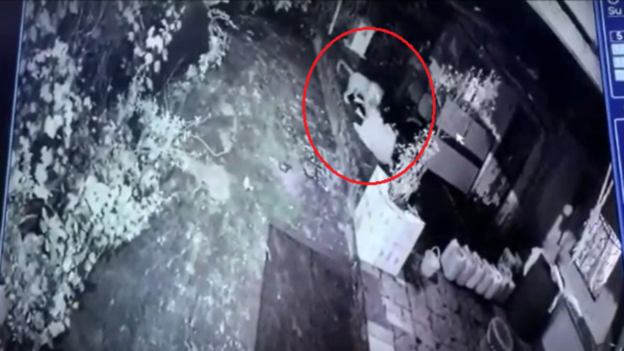 לא כדאי להתעסק איתה