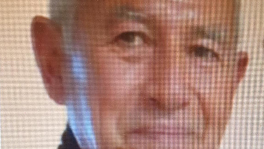 מיכאל אולפן