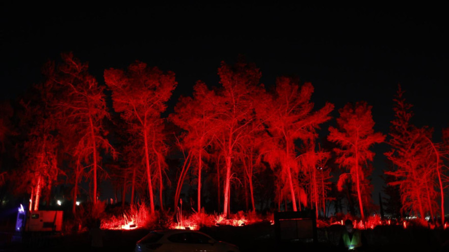 אירוע קק"ל ביער בן שמן 