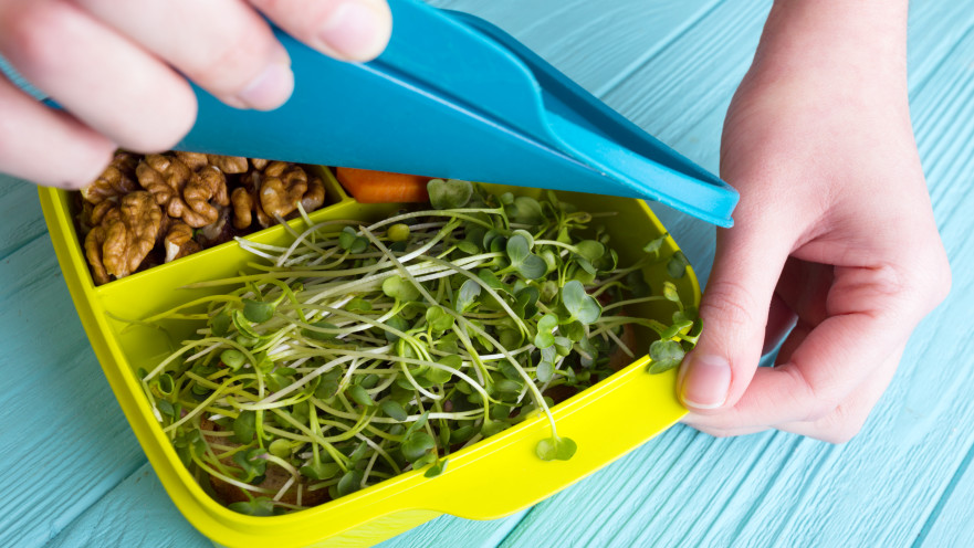 ארוחת צהריים בקופסת פלסטיק, טייק אוואיי (אילוסטרציה)