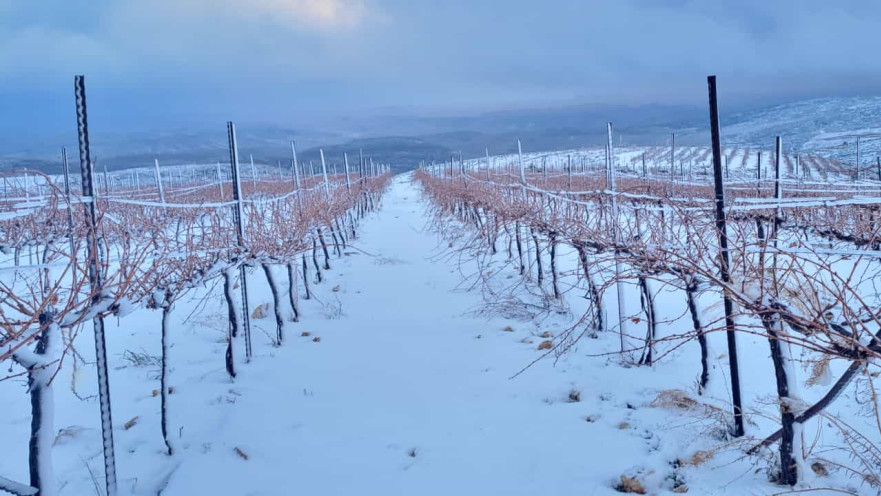 שלג בגוש עציון