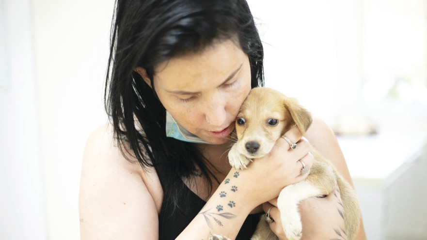 מבצע להצלת כלבים