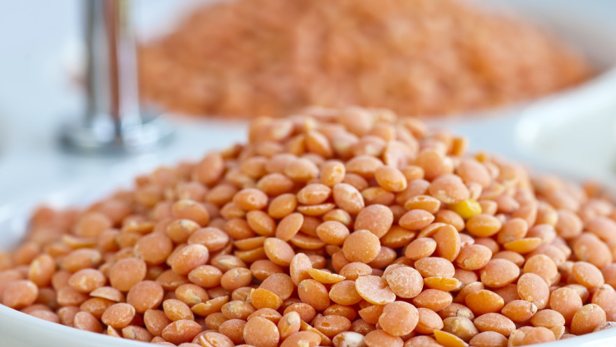 עדשים (אילוסטרציה)