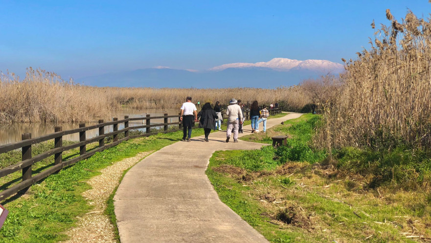 מטיילים בשמורת החולה