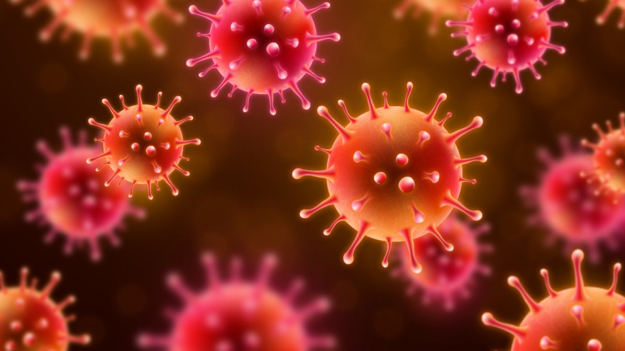 נגיף הקורונה. ימשיך ליצור מוטציות