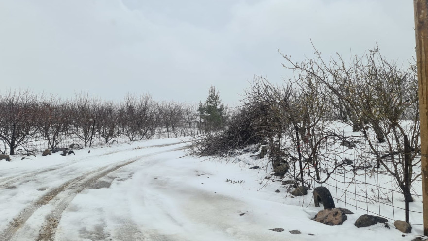 שלג בצפון רמת הגולן