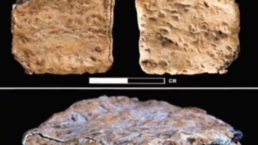 הקללה שנמצאה על הר עיבל