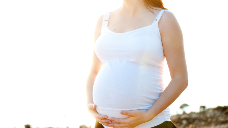 האם סייעת בגן ילדים פוטרה כי נכנסה להריון?