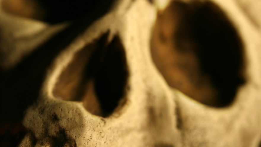 גולגולת אנושית