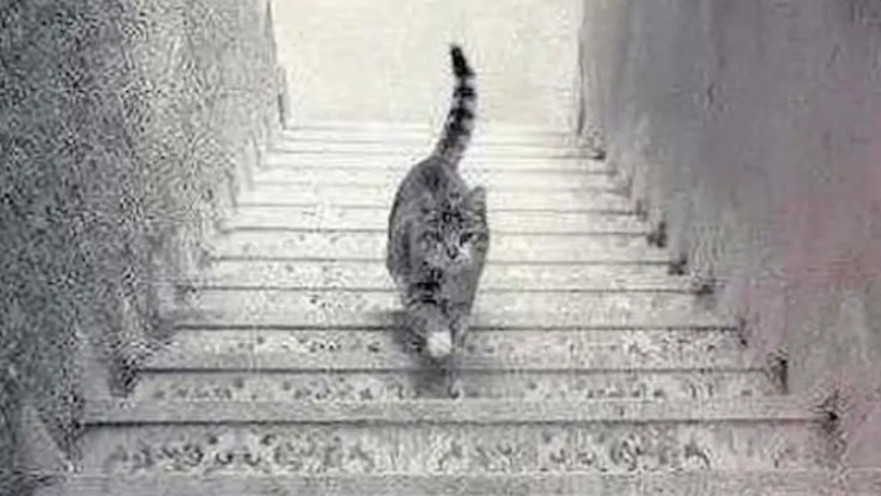 אשליה אופטית