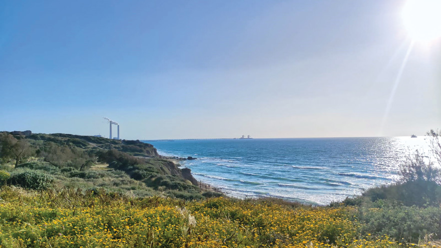 גן לאומי תל אשקלון 