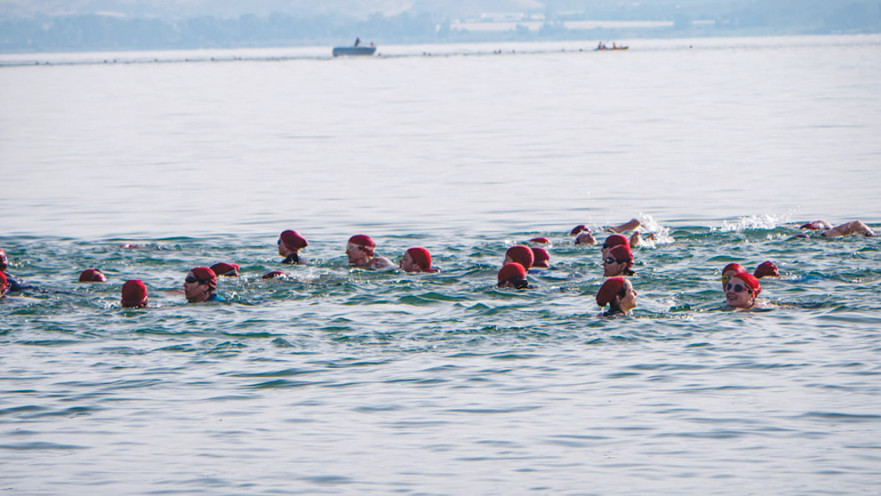 הסדנה בכנרת 