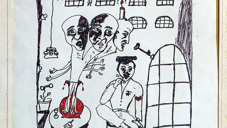 מצוקת האשפוז 