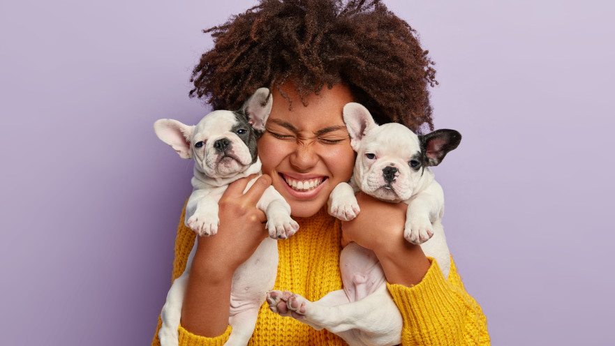 כל מה שצריך לדעת על לימודי כלבנות טיפולית