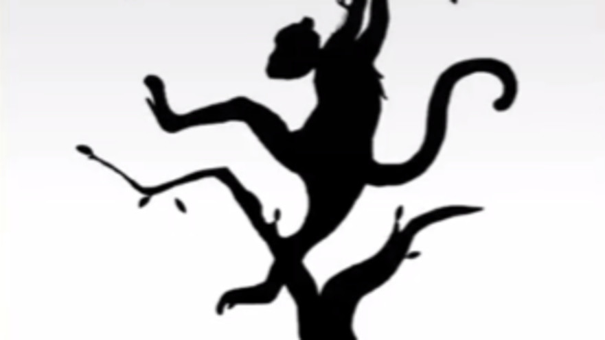 קוף או נמר? מה ראיתם קודם?