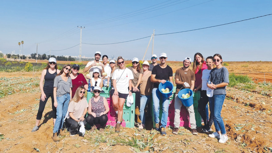התנדבות איכות הסביבה