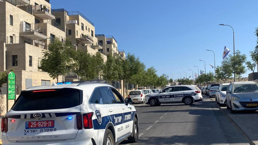 ניידות משטרה 