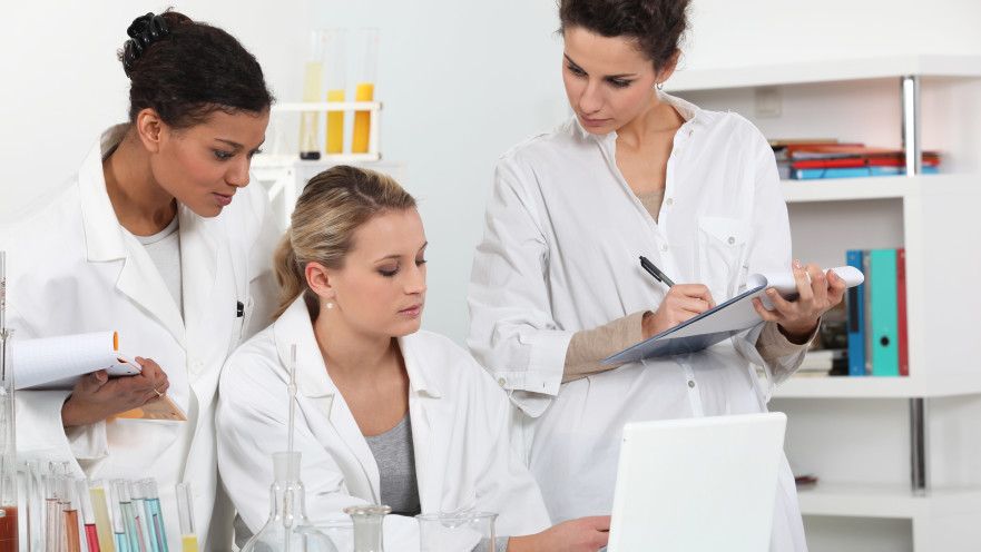 מחקרים, אילוסטרציה