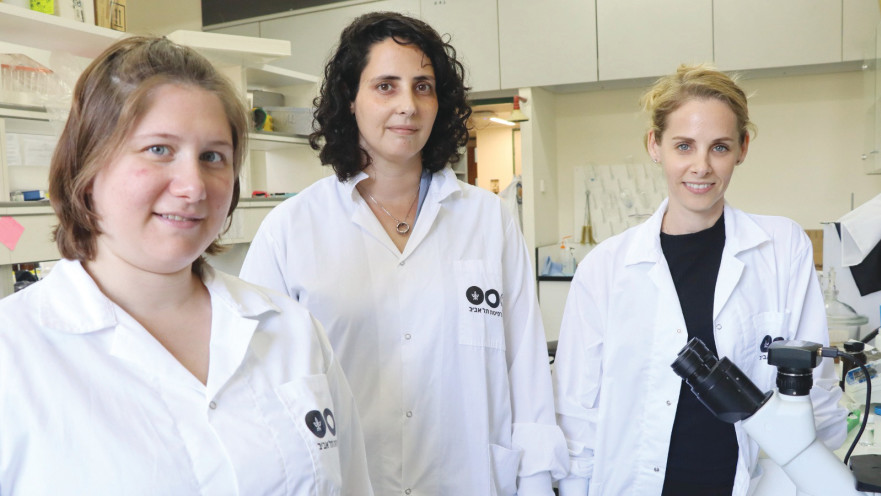 החוקרות מאוניברסיטת תל אביב