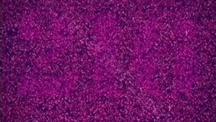 מצליחים להבחין בכל הספרות?