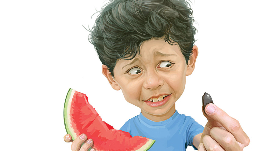 גרעין באבטיח (איור: אופיר בגון)