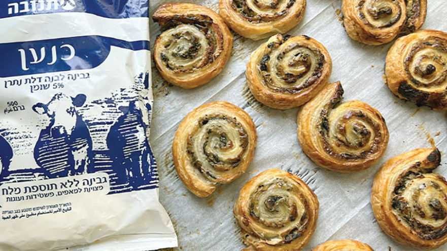 שבלולי פטריות וגבינת כנען