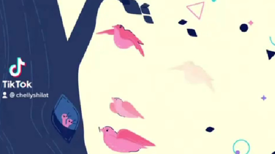 פנים של אישה או ציפורים?