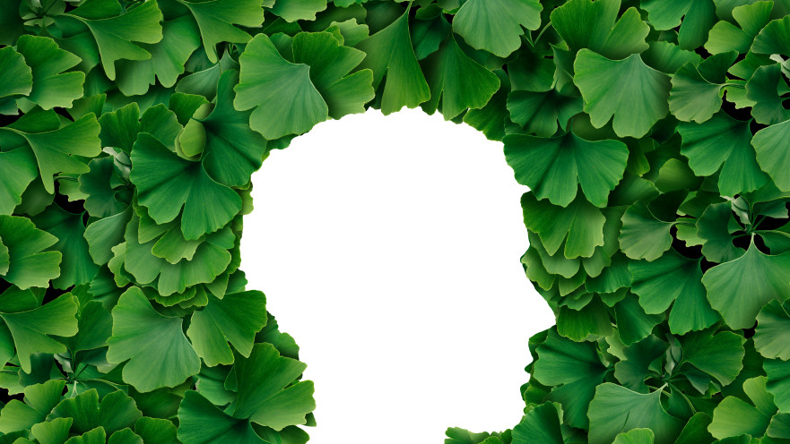 תזונה קטוגנית משפרת את הזיכרון