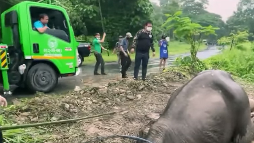 החילוץ לקח כשלוש שעות