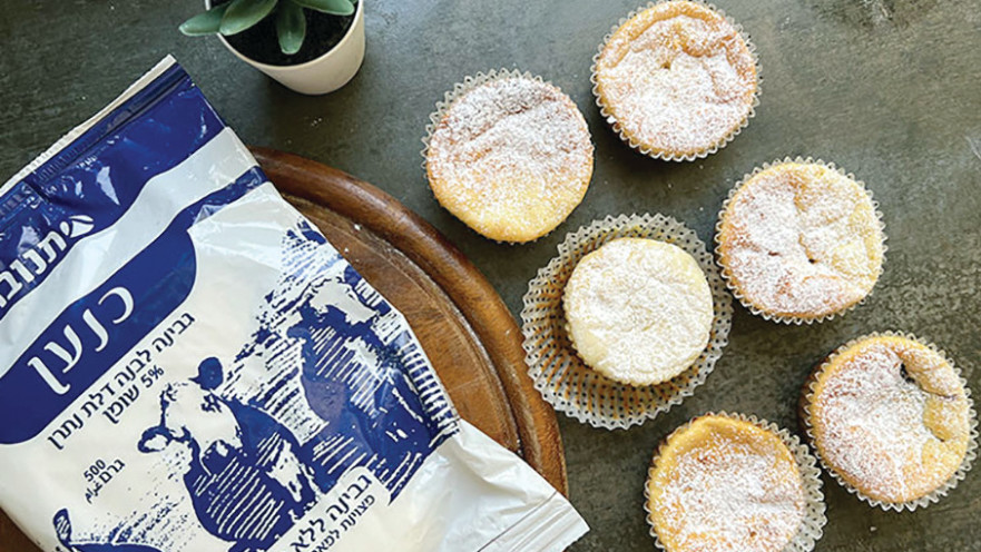 עוגות גבינת הכנען האישיות של תנובה