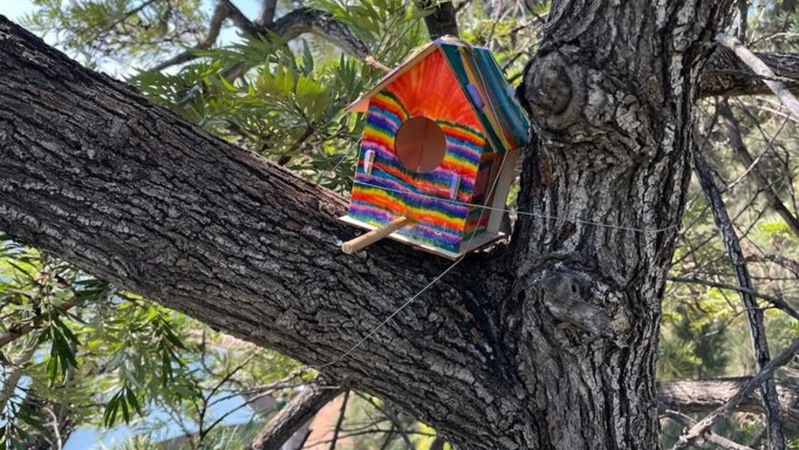 תאי קינון בפארק. פינה מוגנת