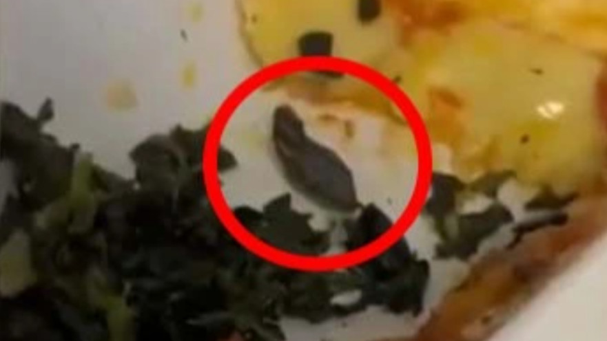 ממצא מזעזע בארוחה שהוגשה בטיסה
