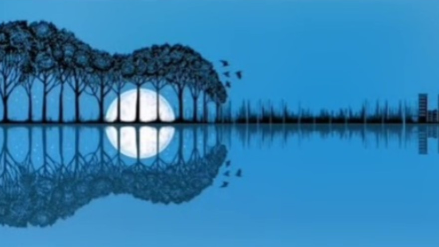 מה ראיתם קודם באשליה האופטית הזו?