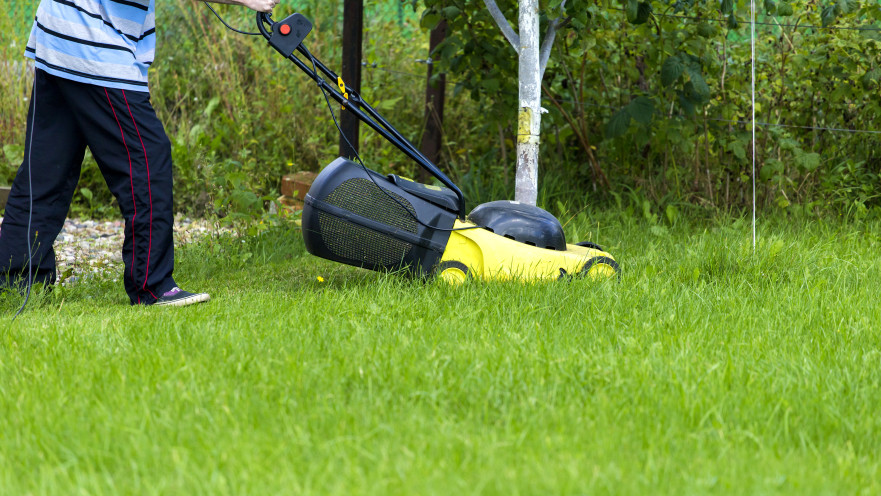 אדם מכסח את הדשא, אילוסטרציה