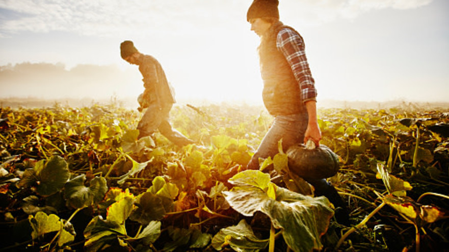 עסקאות מתנה נוגדות במקרקעין – איזו עסקה גוברת?