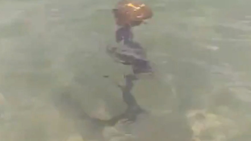 תיעוד משונה: האם מדובר בחייזר שמתהלך מתחת למים?