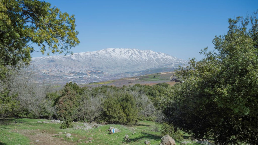 מבט אל החרמון מרמת הגולן