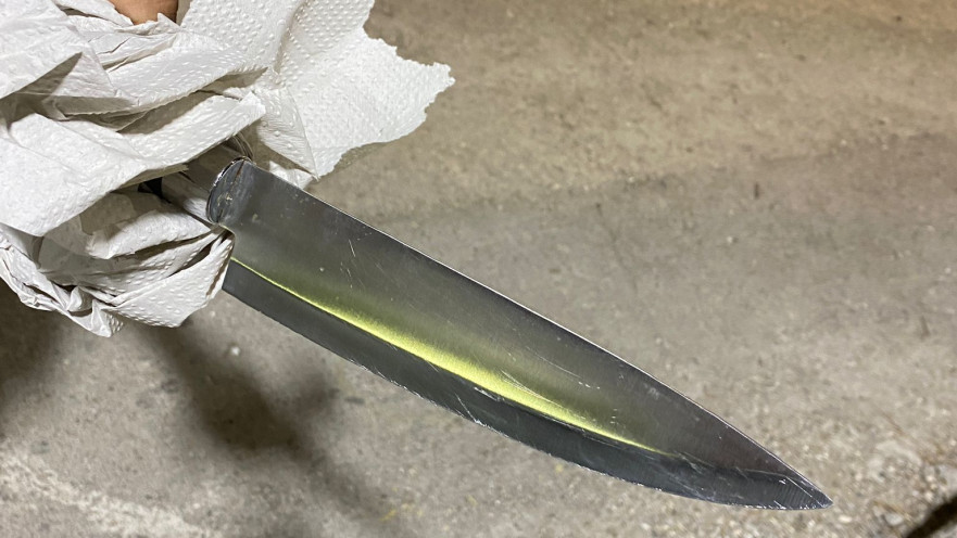 הסכין שנתפסה בגופו של פלסטיני במעבר תאנים