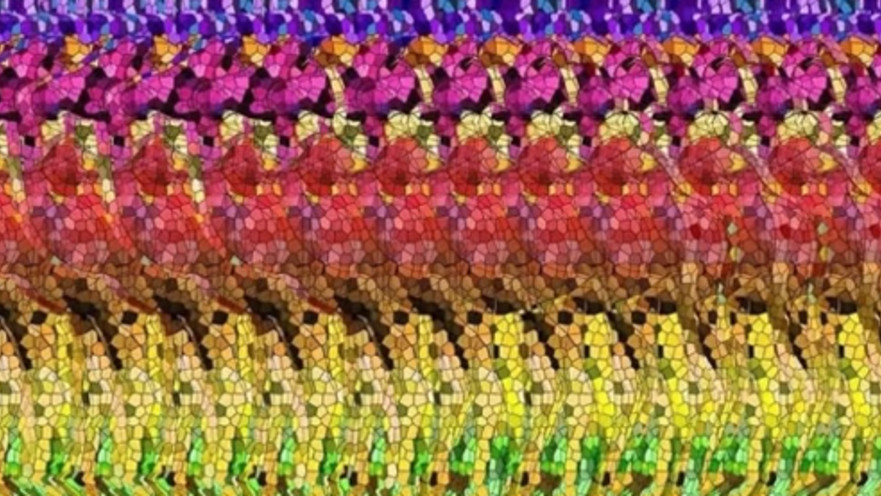 איפה הגמל? מעט מאוד מהצופים מצאו אותו