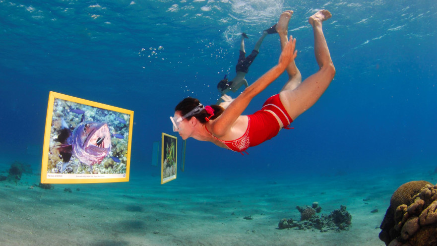 פסטיבל צלילה בים האדום 