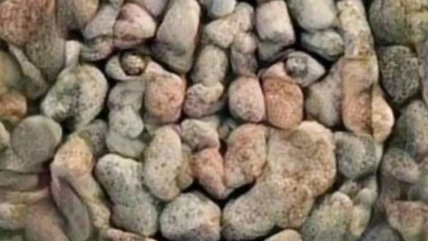 אבנים וחלוקי נחל או פנים של אישה?