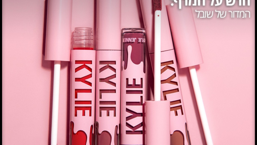 חדש על המדף