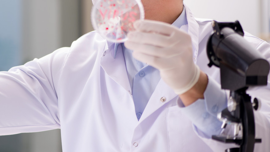 אבעבועות הקוף